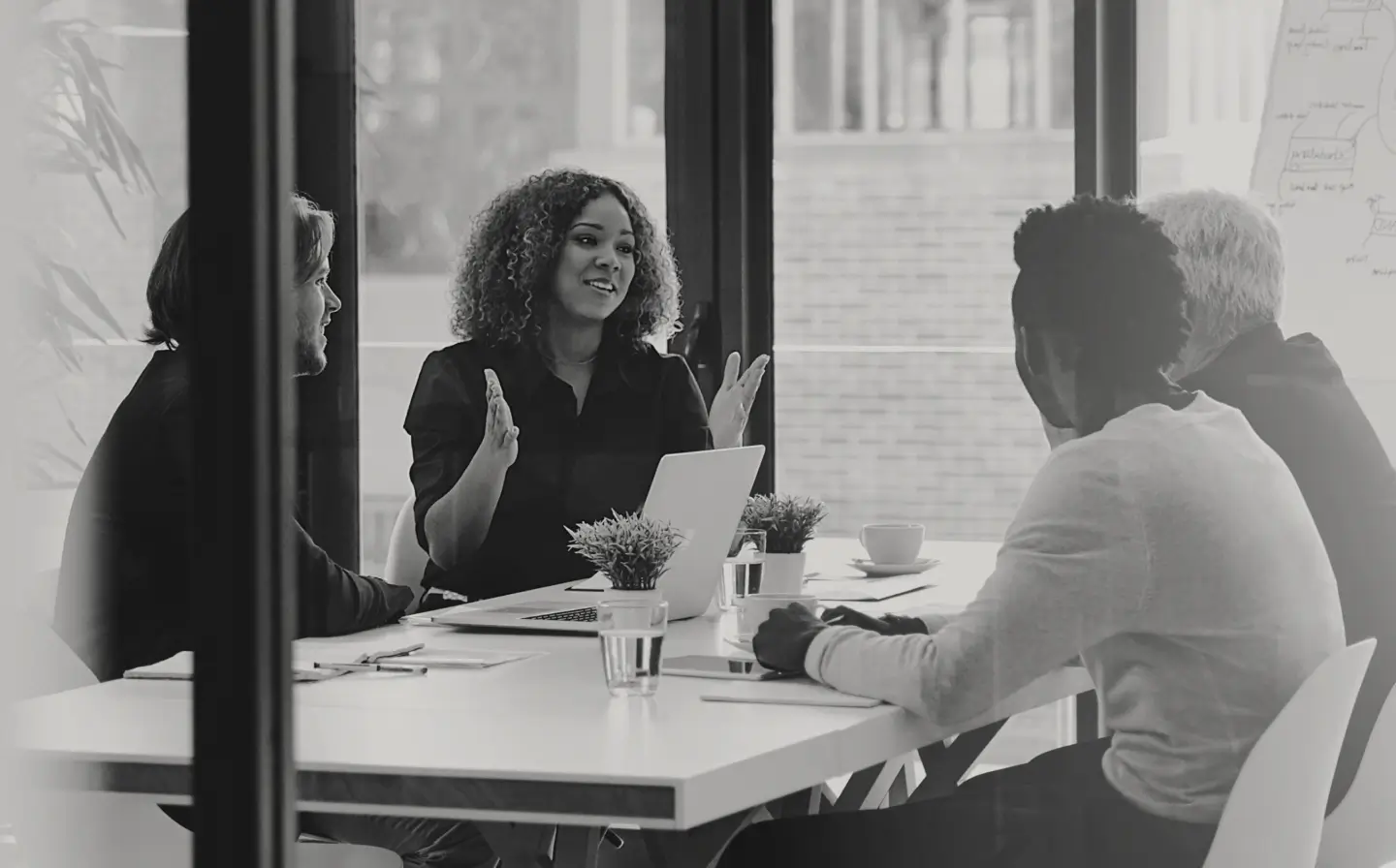 IR agency professionals